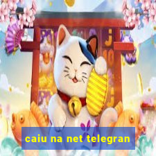 caiu na net telegran